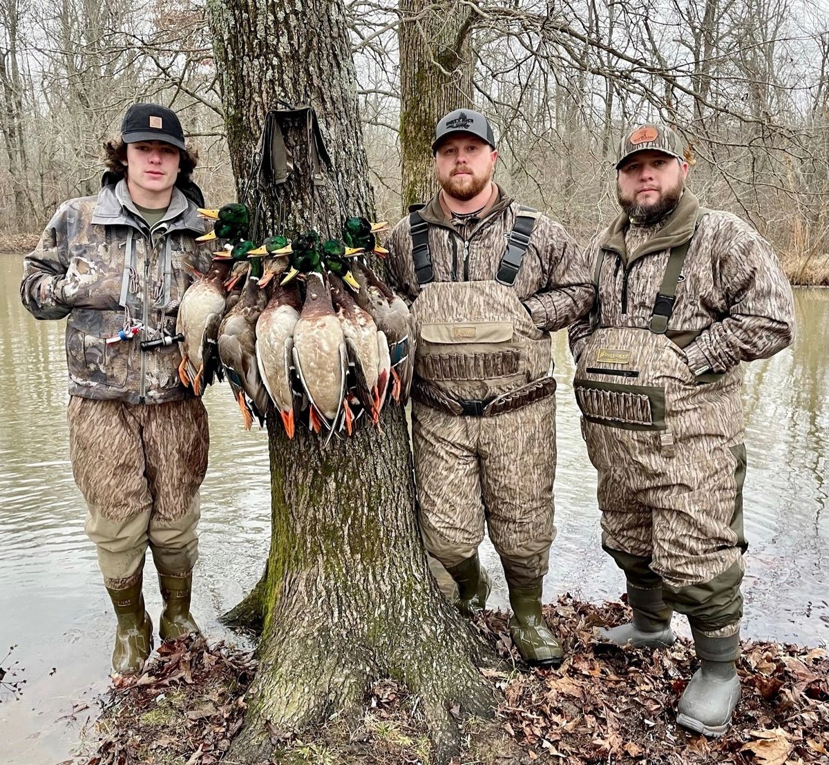 Duck hunting sunrise