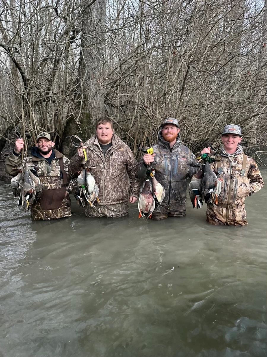 Timber hunting experience
