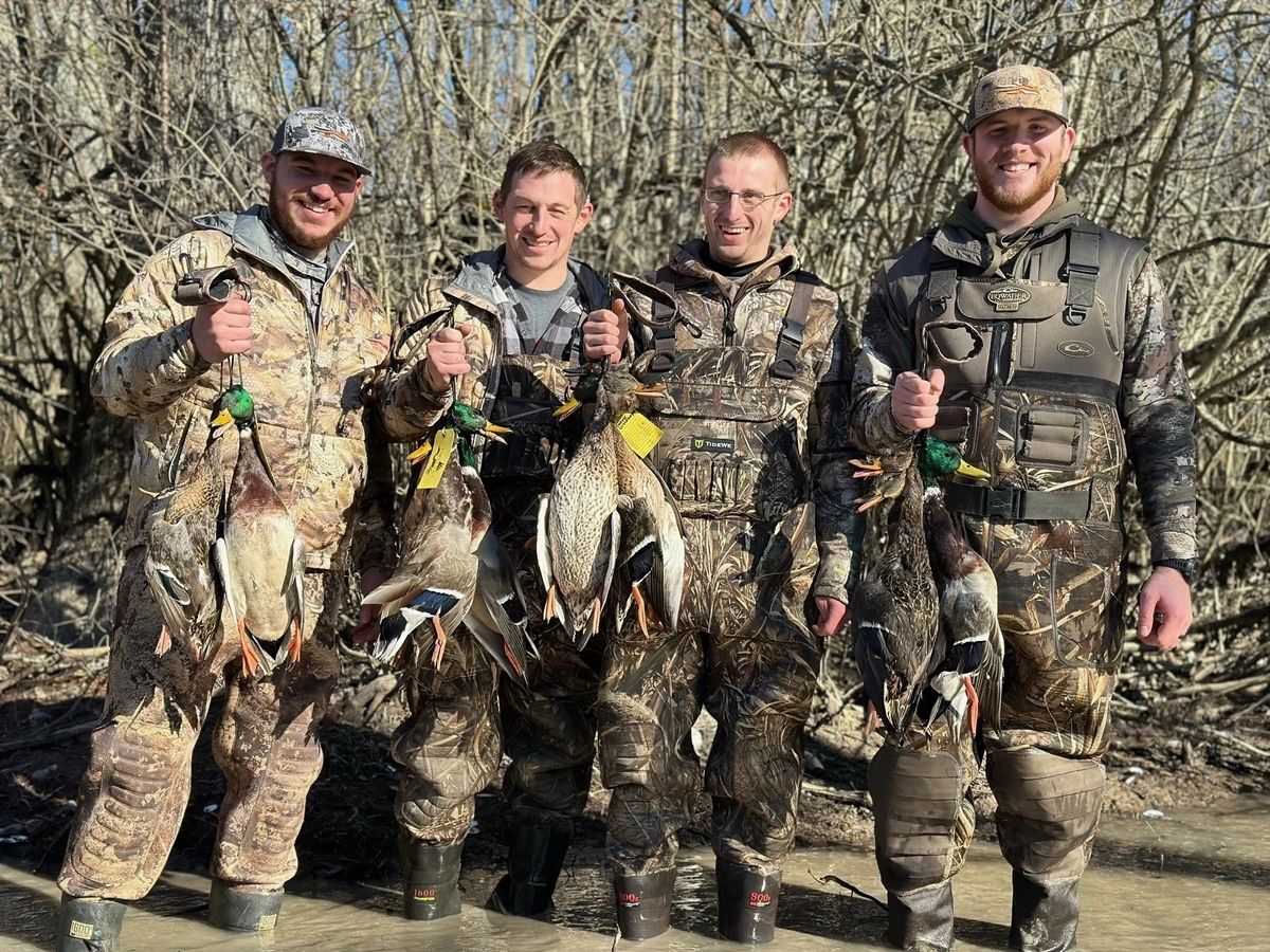 Waterfowl in the blind