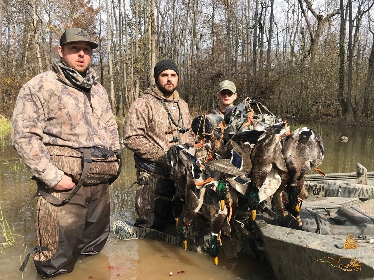 Waterfowl in the blind