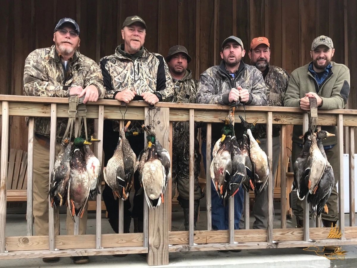 Waterfowl hunting
