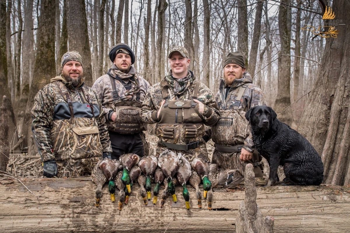 Duck hunting Arkansas
