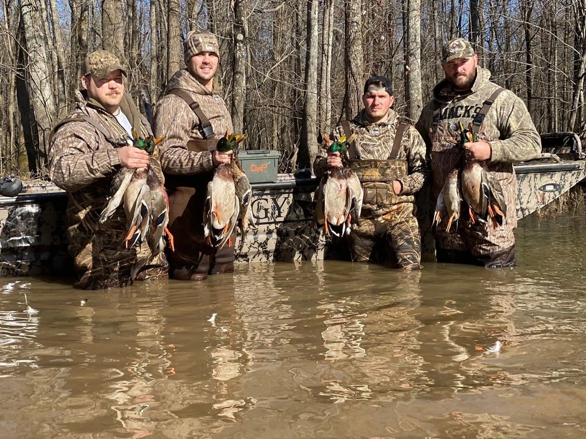 Waterfowl in the blind